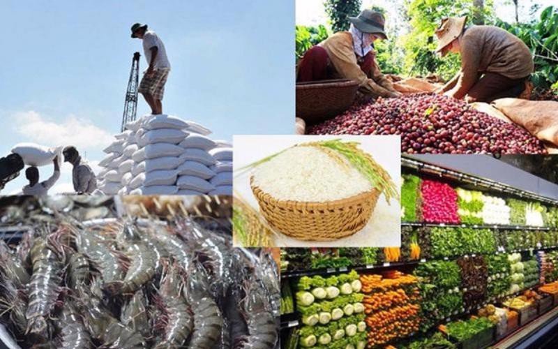 NÔNG SẢN VIỆT XUẤT KHẨU LẬP KỶ LỤC 62,5 TỶ USD 